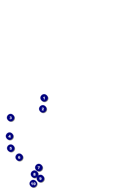 Black Tie Club Flyer Front Field Markers