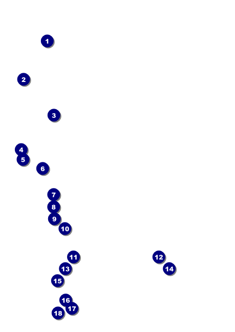 Renaissance Club Flyer Front Field Markers