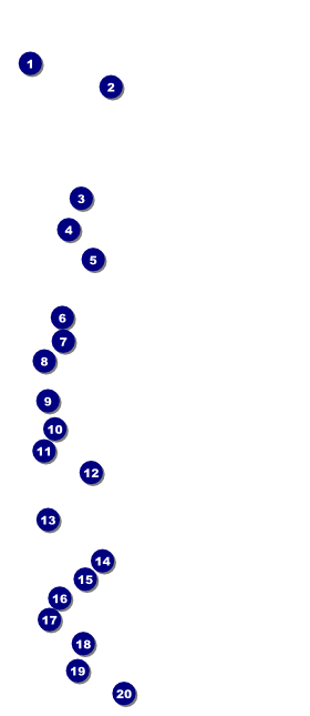 Tuscany VIP Pass Front Field Markers