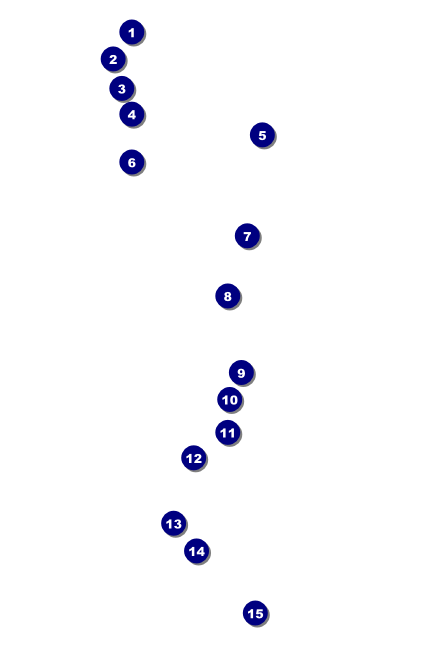 Santa Lineup Drink Ticket Front Field Markers