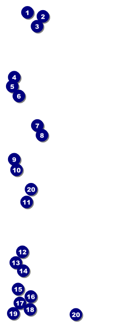 Mexican Fiesta Event Ticket Front Field Markers