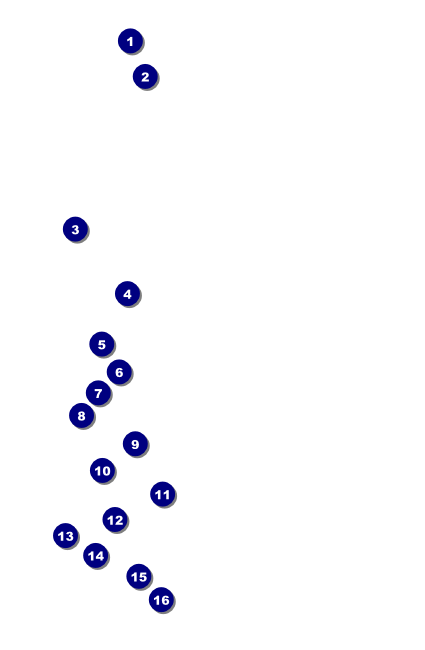 Farmer's Market Drink Ticket Front Field Markers