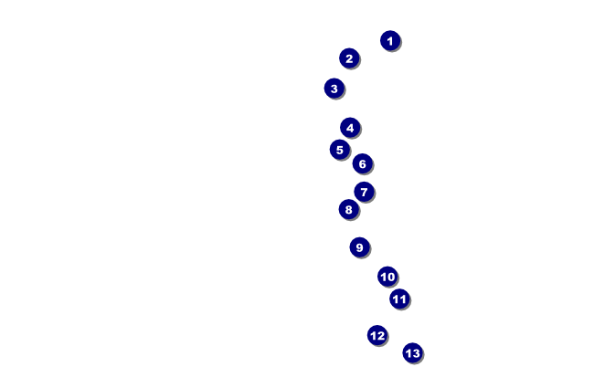 Triathlon Drink Ticket Front Field Markers