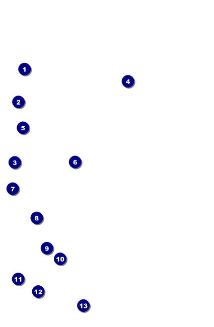 Birthday Whimsical  Drink Ticket Front Field Markers