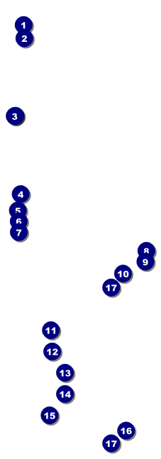 Candy Raffle Ticket Front Field Markers