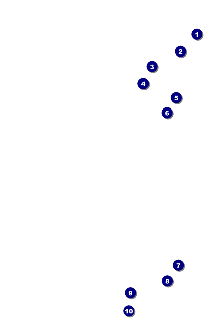 Denver BW Drink Ticket Front Field Markers