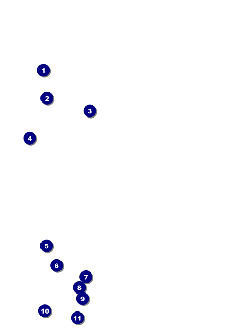 Pig Roast Invitation Front Field Markers