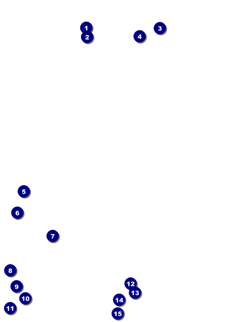Medieval Banquet Postcard Front Field Markers