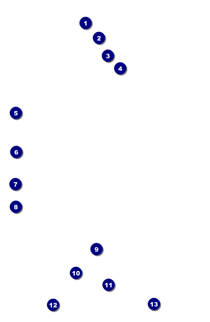 Puerto Rico Flag Drink Ticket Front Field Markers