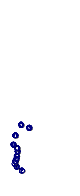 Fire & Ice Table Tent Front Field Markers