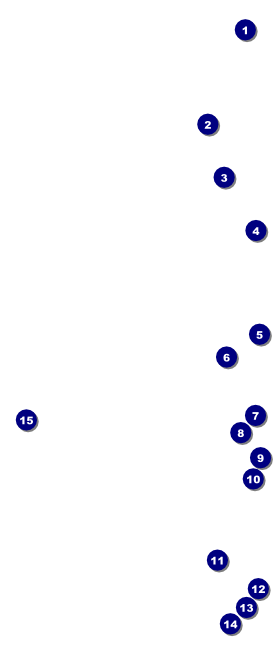 Prom Limo 2 VIP Event Badge Large Front Field Markers