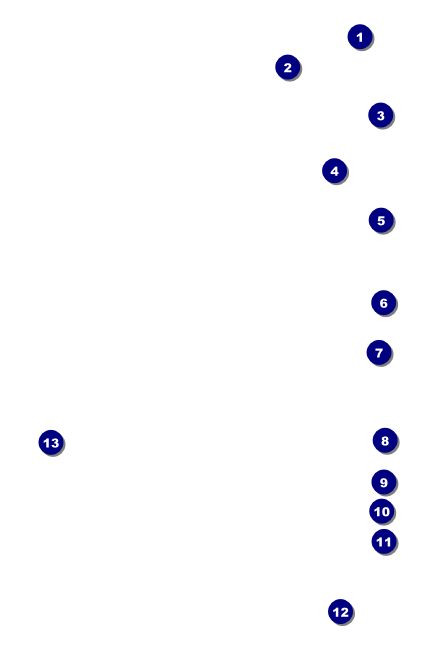 St Patrick's Day Shamrock VIP Event Badge Small Front Field Markers