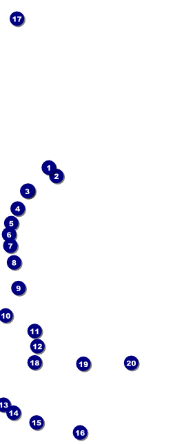 Your Photo Concert (Yellow) VIP Pass Front Field Markers