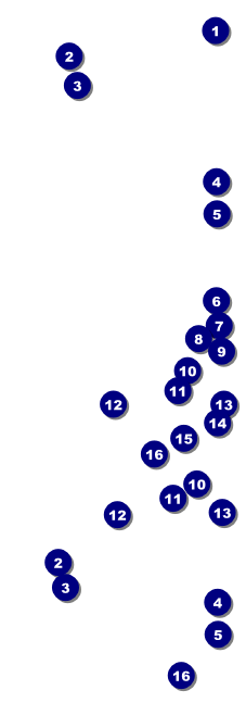 Birthday Party Reserved Event Ticket Front Field Markers