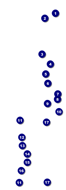 All Purpose Skyline Black and White Raffle Ticket Front Field Markers