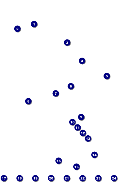 All Purpose Trees Black & White  Image Poster Front Field Markers