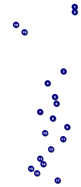 Chinese New Year Tiger VIP Pass Front Field Markers