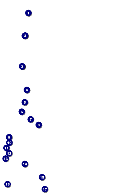 Black Friday Poster Front Field Markers