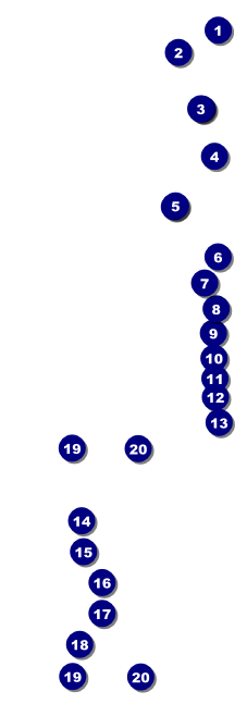 Premier League Darts 2017 Raffle Ticket Front Field Markers