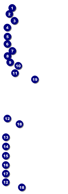 Golf Raffle Ticket 0007 Front Field Markers
