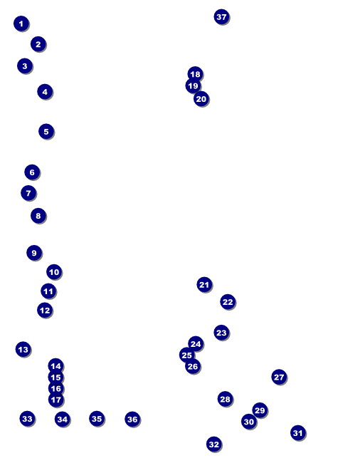 Run for a Cause Orange Flyer Front Field Markers