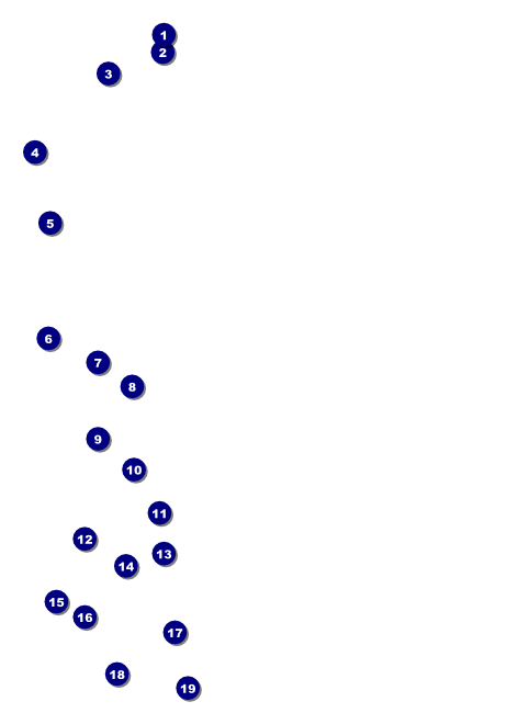Bucking Bronco Rodeo Flyer Front Field Markers