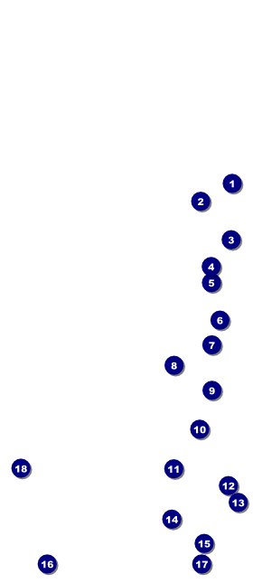 Martin Luther King Jr. VIP Pass Front Field Markers