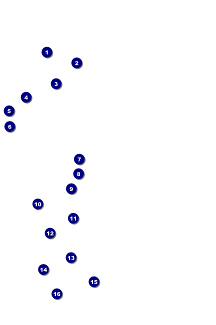 Red, White, and Blue Stars Poster Front Field Markers
