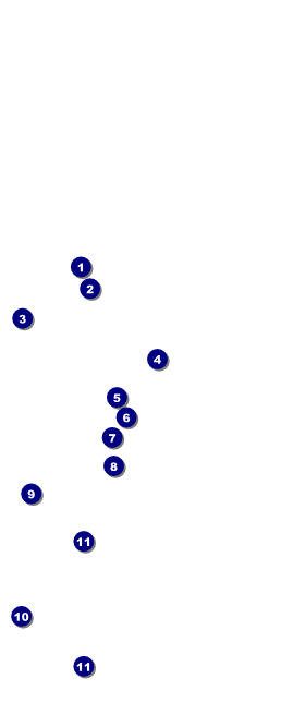 Nature Series - Green Leaves Hang Tag Front Field Markers