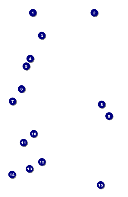 Bingo Bonanza Extravaganza Drink Ticket Front Field Markers