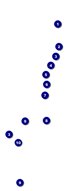 Holiday Snowflake QR Event Ticket Front Field Markers