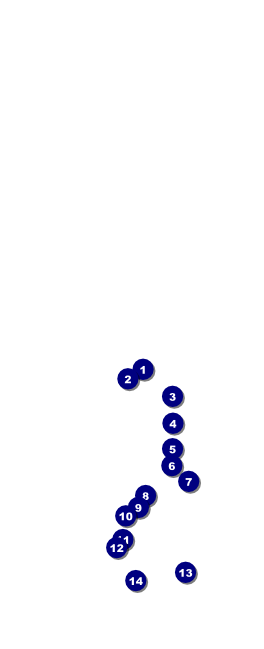 Retro Sunburst Table Tent Front Field Markers