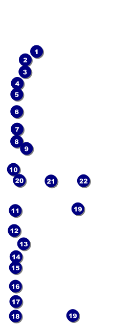 Tampa Bay Event Ticket Front Field Markers