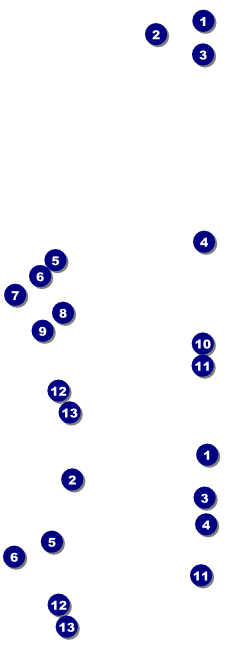 Breast Cancer Bokeh Event Ticket Front Field Markers