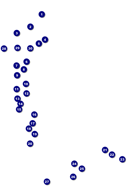 LGBT Pride Poster Front Field Markers