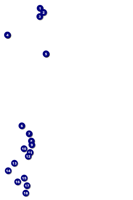 Chinese New Year Celebration Poster Front Field Markers