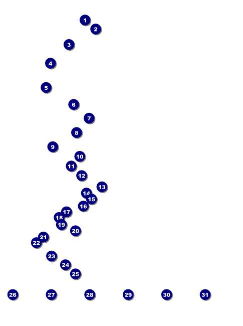Spider Web Flyer 003 Front Field Markers