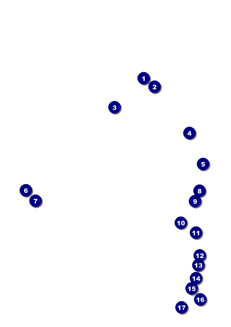 Bow Tie Postcard Front Field Markers
