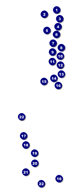 Iowa Raffle Ticket Front Field Markers