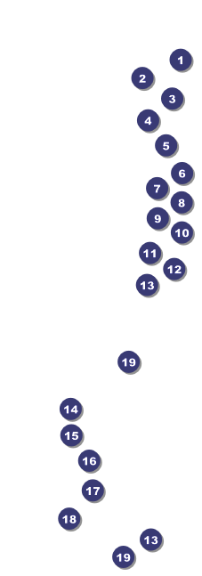 Kansas Raffle Ticket Front Field Markers