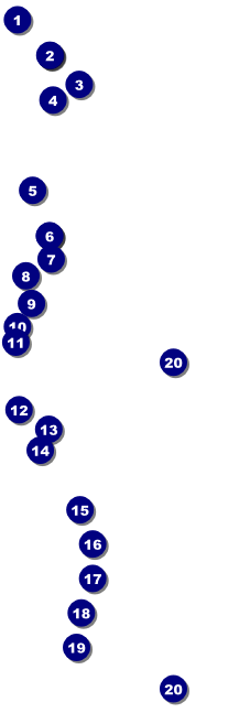 Carnival Raffle Ticket Front Field Markers