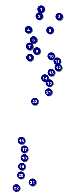 London Raffle Ticket Front Field Markers