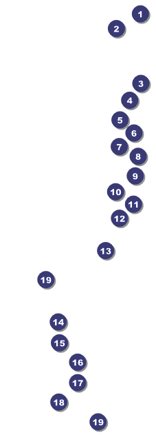 Sydney Raffle Ticket (Pink) Front Field Markers