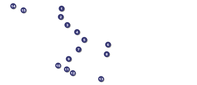 Puerto Rico VIP Pass Front Field Markers