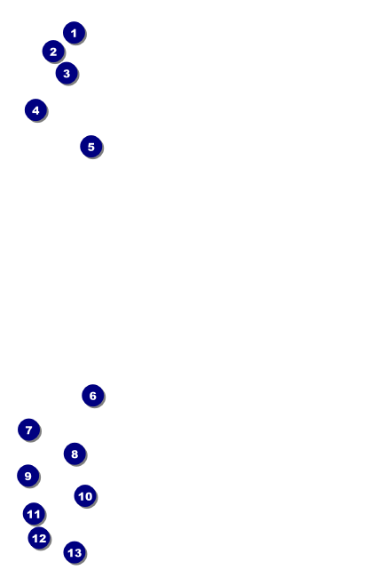 Santa Barbara Drink Ticket Front Field Markers