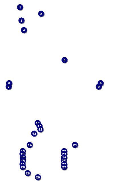 Carnival Monkey Poster Front Field Markers