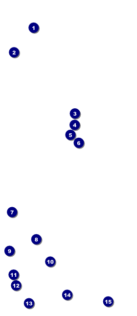 Equestrian VIP Pass Front Field Markers