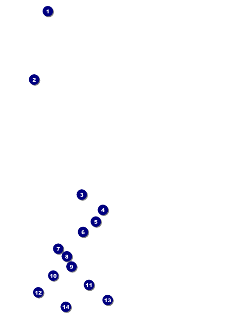 Indian Music Flyer Front Field Markers