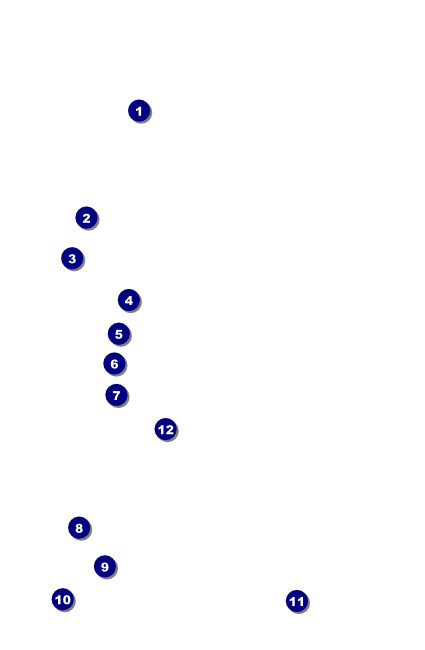 Green Gift Drink Ticket Front Field Markers