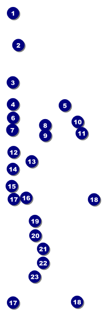 Class Reunion Raffle Ticket Front Field Markers